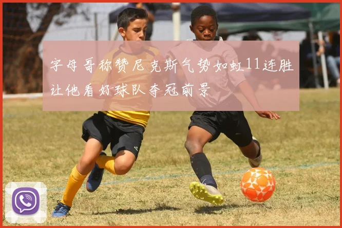 字母哥称赞尼克斯气势如虹11连胜让他看好球队夺冠前景