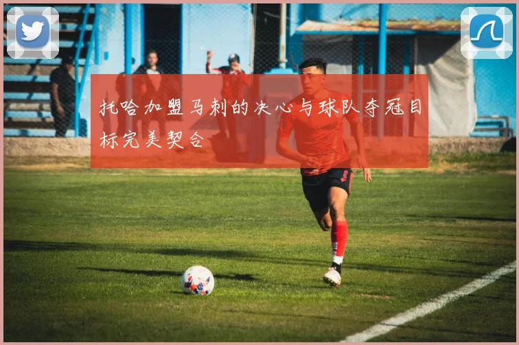 托哈加盟马刺的决心与球队夺冠目标完美契合